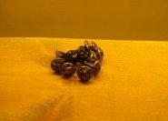 gallery item