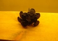 gallery item