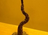 gallery item